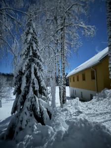 Mõedaku Puhkekeskus