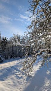Historisches Schwedenhaus, 25m zum Wasser im Garten, ideal zum Angeln, 8 Personen
