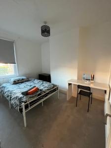 Simple basic flat apartment studio