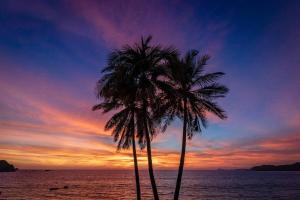 Nice DUPLEX HOUSE FOR RELAXING DAYS INT21