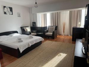 Abe Studio la 300m de Targul de Craciun