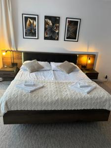 Apartament i pokoje Szalawa