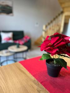 Domki na Wiśniowej Zator