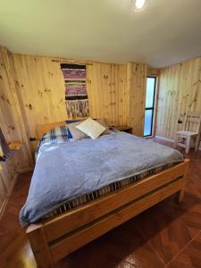 Hostal Aves del Sur Coñaripe