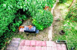 Lala Gesell Center 3