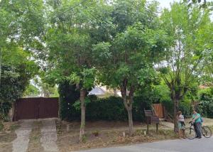 Lala Gesell Center 3