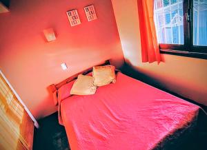 Lala Gesell Center 3