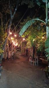 Maresias -Casa completa de temporada com piscina,1 km da praia aceitamos Pet