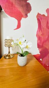 Liza Luxury Holiday Apartment Oceanic 44