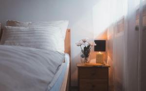 Wellness Hotel Zdobnice