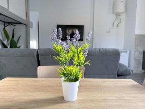 Casita de campo en Benidorm