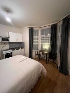 Studio flat in Forest Gate