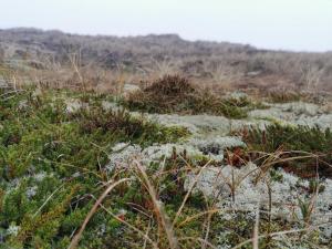 Fjord View Retreat - By Traum Ferienwohnungen