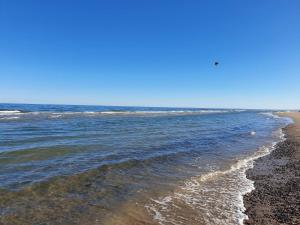8 person holiday home in Ålbæk-By Traum