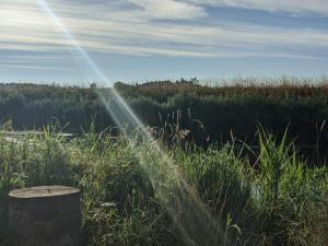 6 person holiday home in Brædstrup-By Traum