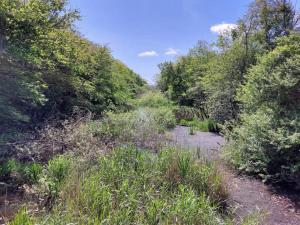 Cosy Retreat in Henne Strand-By Traum