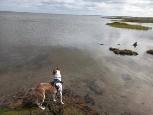 8 person holiday home in Ørsted-By Traum