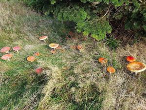 6 person holiday home in Væggerløse