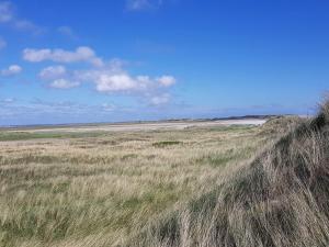 8 person holiday home in Blåvand