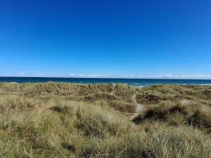 8 person holiday home in Ålbæk-By Traum