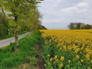4 person holiday home in Nykøbing M-By Traum