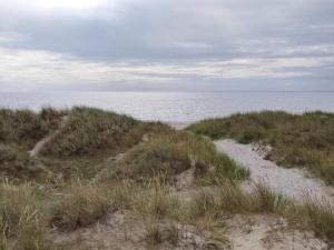 5 person holiday home in Ålbæk