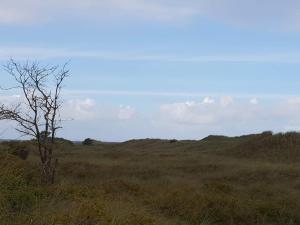 10 person holiday home in Jerup