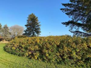 6 person holiday home in Hadsund-By Traum