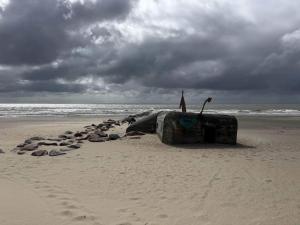 Cozy Cottage Retreat in Blavand-By Traum