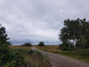 8 person holiday home in Hadsund-By Traum