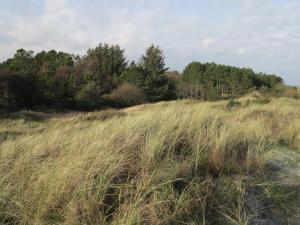 6 person holiday home in Ålbæk-By Traum