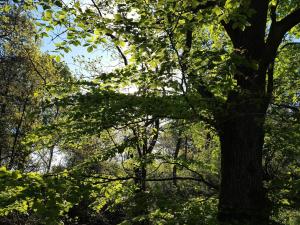 30 person holiday home in Ebeltoft-By Traum