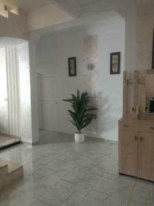 Villa Andreea Paradise