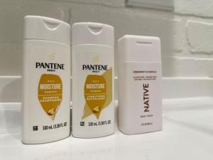 Gorgeous loft downtownSherman washer dryer WiFi