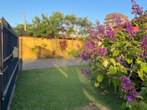 Casa na praia do Quilombo em Penha a 200 metros do mar