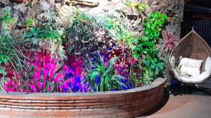 Hospedaje los Abuelos