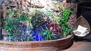 Hospedaje los Abuelos