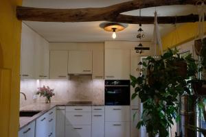 Luxueuse oasis écologique à proximité du lac