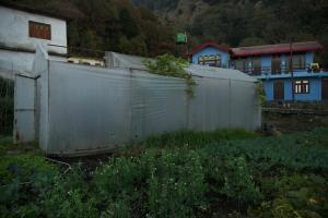 Basanti Rawat Homestay