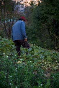 Basanti Rawat Homestay