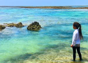 White Turtle Villa -Ishigaki Blue Retreat