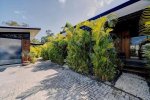 Gaviota Suite 4 - Room with terrace, wifi and AC