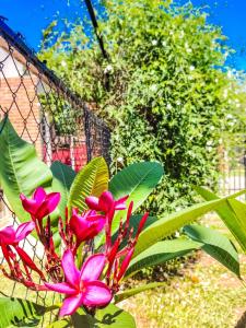 Habitación standard - SKYHOME I