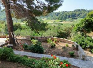 Apartmani Green Oasis