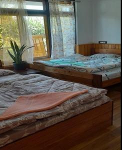 Wanderlust Homestay By StayApart