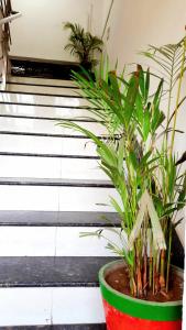 HOTEL SEASON Near Ahmedabad Airport