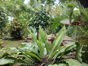 Walawa cottage udawalawe