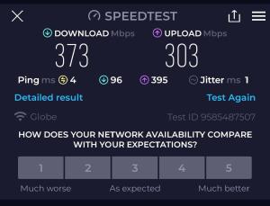 308T3 Avida Riala IT Park Spacious Studio 350Mbps