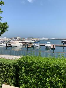 Marsa garden apartment