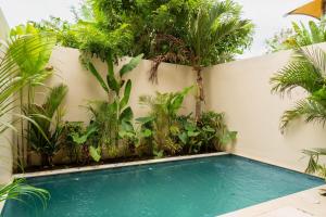 Serene Jungle Villa Private Pool and Work Space